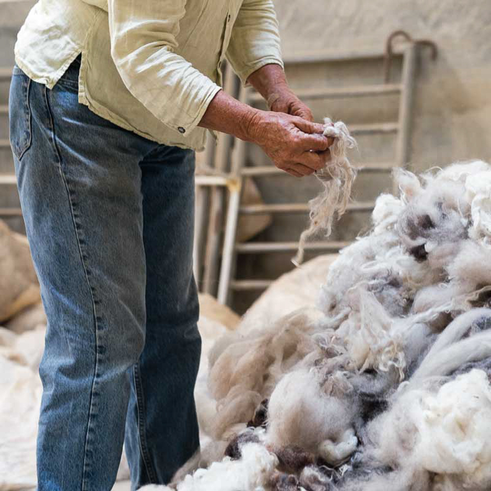 FARM TO NEEDLE : STORIES OF WOOL